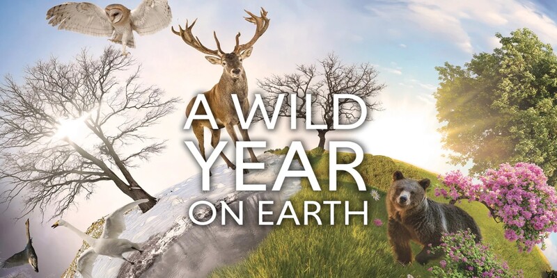 A Wild Year on Earth