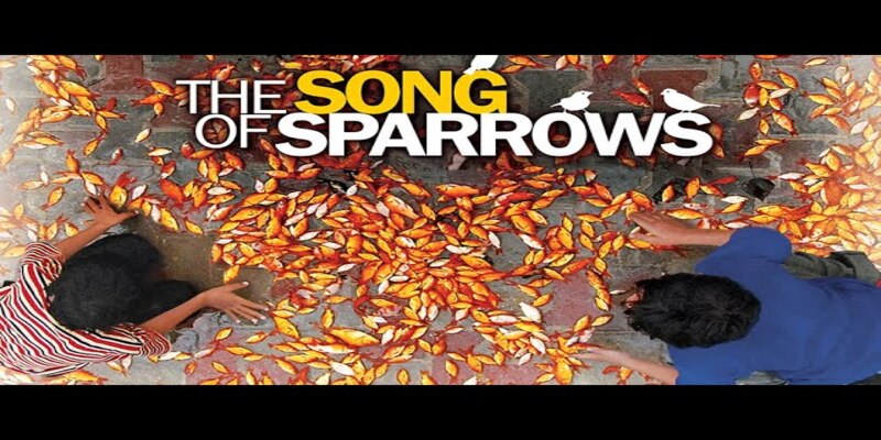 The Song of Sparrows